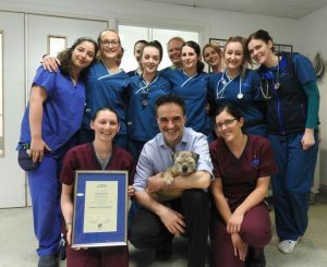 Best Pet Clinic In Islamabad