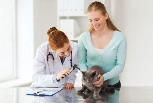 Best Pet Clinic In Lahore