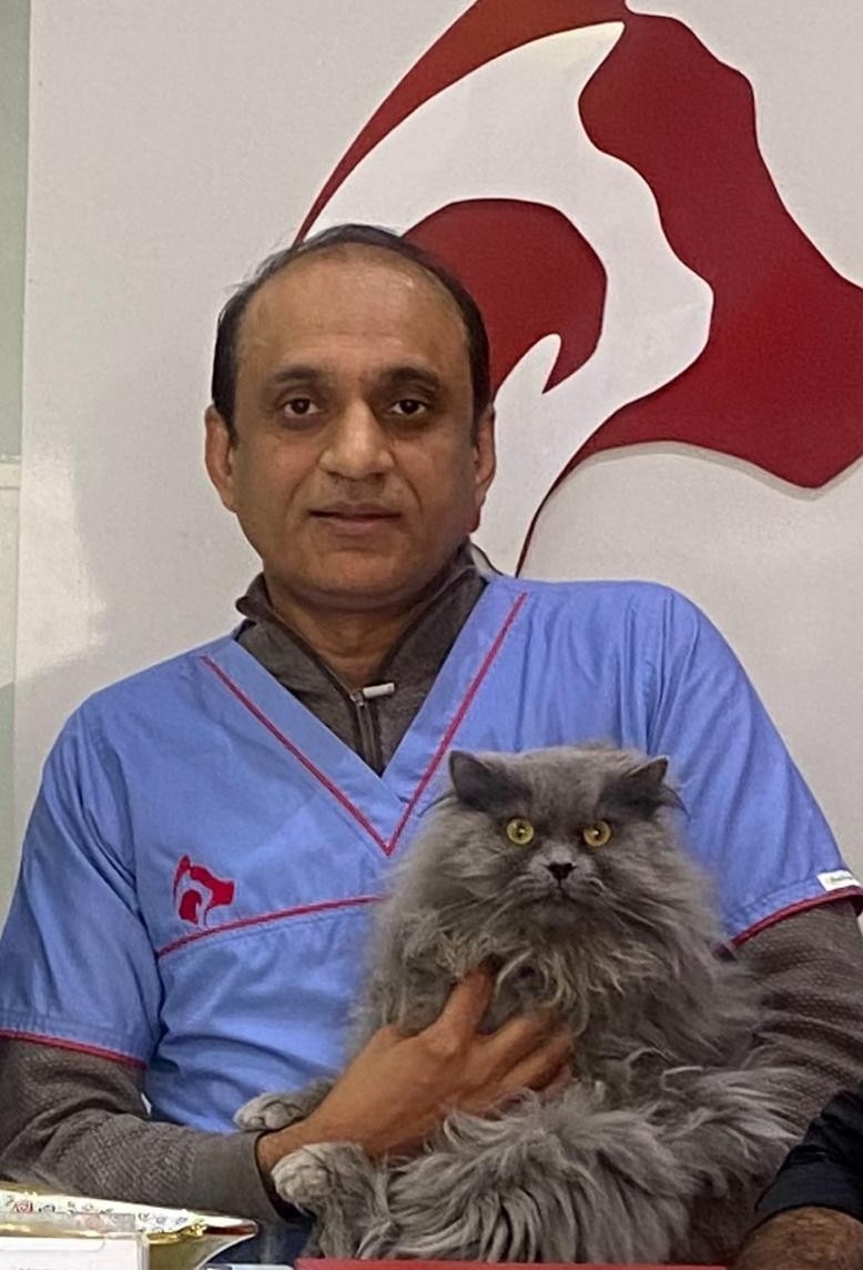 Dr Ali Murtaza