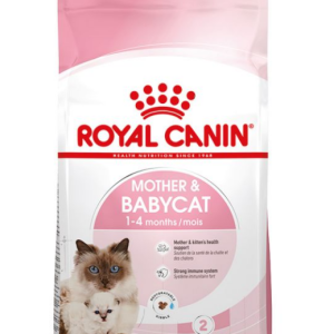 "Royal Canin Kitten Stage 2 Cat Food - Best Nutrition for Growing Kittens