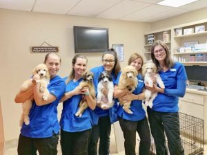 Best Pet Clinic In Islamabad