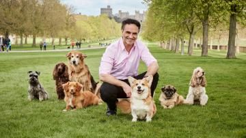 Best Pet Clinic In Rawalpindi